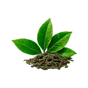Idealisse — Té verde